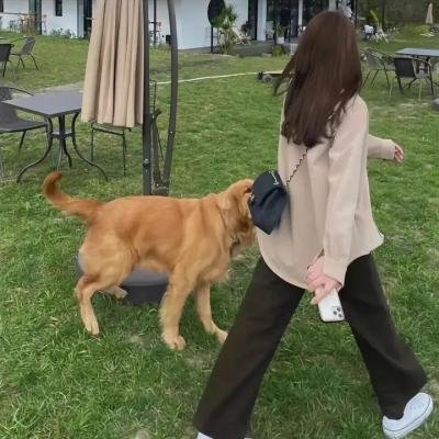 上古仙女秘闻
