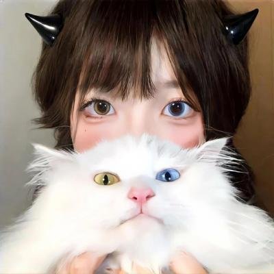 动物也疯狂