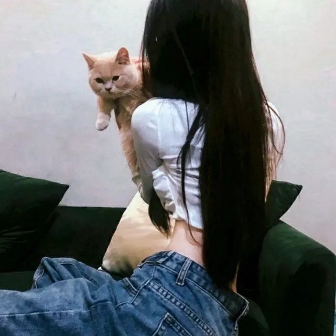 铁骨金沙